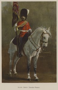 Scots Greys, standardní nosič (barva lito)