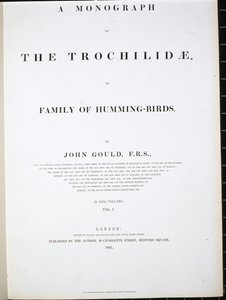 Frontispis (ručně barvený lito) od John (after) Gould