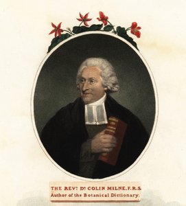 Portrét Colina Milna, botanika. 1806 (rytina) od John (after) Russell