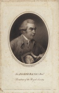 Sir Joseph Banks , anglický přírodovědec, botanik a prezident Royal Society (rytina) od John (after) Russell