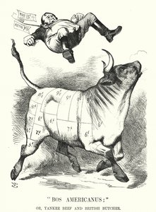 Punch cartoon: Bos Americanus; nebo Yankee Beef and British Butcher - očekávané výhody pro spotřebitele z dovozu amerického masa (rytina) od John (after) Tenniel