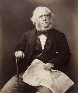 Pan James Playfair, Glasgow, 1855 od John Adamson