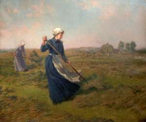 Dívka Seno od John Arthur Black