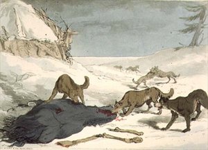 Hon na vlka, deska 74 ze svazku III 