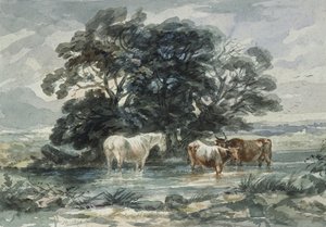 Krajina, dvě krávy a kůň stojící ve vodě, (náčrt) od John Barker