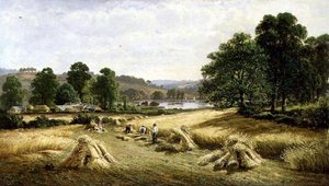 Shromažďování zlatého zrna poblíž Bishopsteignton, Plymouth od John Barrett