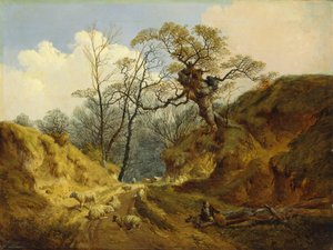 Crown Point, Whitlingham, poblíž Norwiche