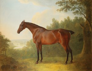 Markýz, lovec zátoky v krajině, 1811