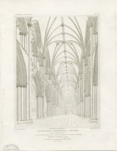 Interiér katedrály Lichfield - Nave: rytina a [c 1819] (tisk)