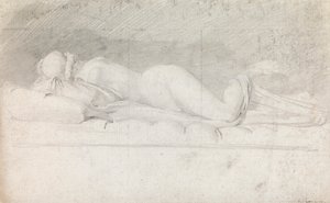 Studie Hermafrodita