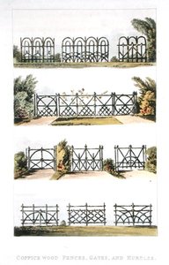 Dřevěné ploty, brány a překážky z výmladkového dřeva, z Ackermannova „Repository of Arts“, vydaného 1823 (barevné lito) od John Buonarotti Papworth