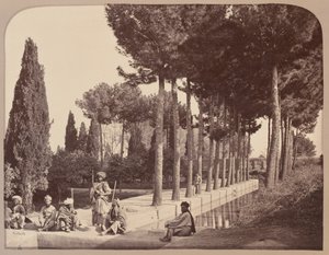 Afghánští domorodci odpočívají v Baburových zahradách, Jalalabad, 1878 od John Burke