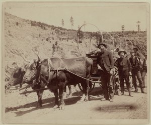 1889 - Prospektoři jdoucí na zlatá pole (čb fotografie)