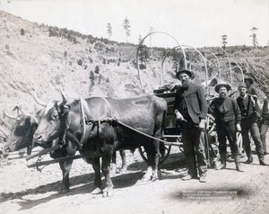 Zlatá horečka v Jižní Dakotě od John C. H. Grabill