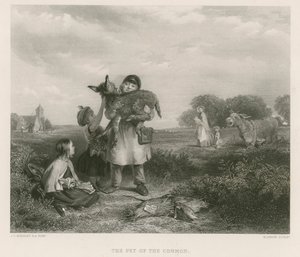 Pet of the Common od John Callcott Horsley