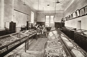 Muzeum, důlní škola Camborne, ilustrace z „Mongst mines and mineers, or Underground Scenes by Flash-Light“ od J.C. Burrowse a Williama Thomase, hospoda. 1893 (sépiová fotografie) od John Charles Burrow