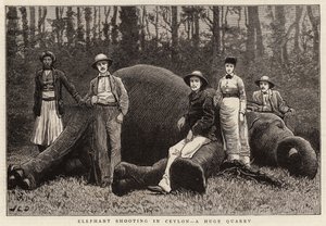Střelba slonů na Cejlonu, obrovském lomu od John Charles Dollman