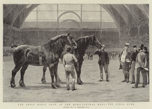 Shire Horse Show v Agricultural Hall, Final Duel