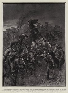 A Wild Stampede, účinek jihoafrického krupobití-bouře