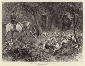 Hard Pressed, Woodland Scene