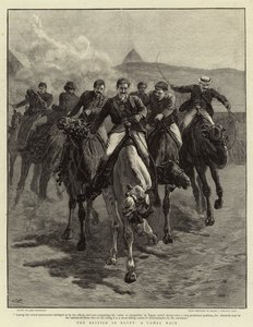 Britové v Egyptě, Velbloudí rasa