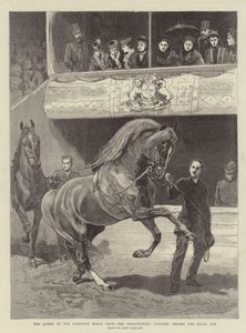 Královna na Islington Horse Show, vítězové defilují před Royal Box