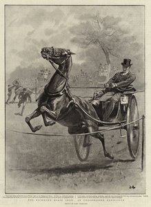 Richmond Horse Show, nezkušená výstava od John Charlton