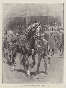Shire Horse Show v zemědělské hale od John Charlton