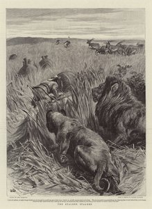 Stalker pronásledoval od John Charlton