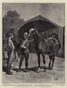 Zranění soudruzi, scéna v Pietermaritzburgu