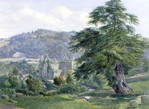 Tintern Abbey with the Wye Beyond (akvarel) od John Chase