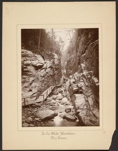 V Bílých horách/The Flume od John Coates Browne