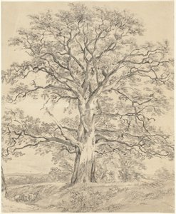 Velký dub od John Constable
