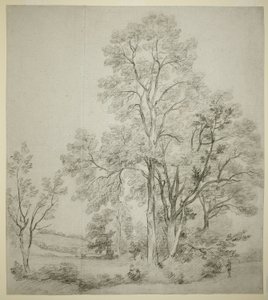 Stojan jilmů (recto); Studie východního Bergholtu s církví (verze) od John Constable
