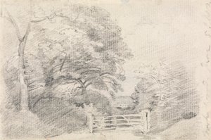 Dřevo Coombe od John Constable