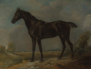 Goldingův strážník černý jezdecký kůň od John Constable