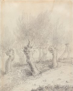 Ořezané vrby od John Constable