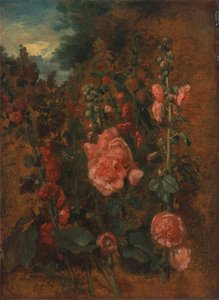 Studie Hollyhocks od John Constable