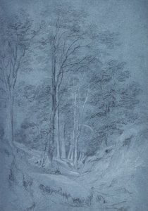 Studium jasanů a jiných stromů (tužka na papíře, zvýrazněno bílou křídou) od John Constable