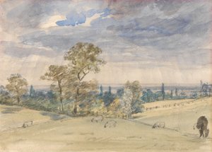 Krajina v Suffolku od John Constable