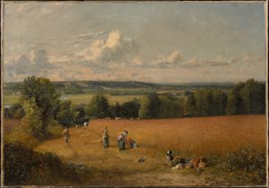Pšeničné pole od John Constable