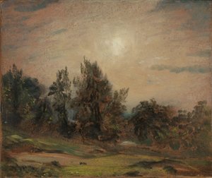 Stromy na Hampstead Heath od John Constable