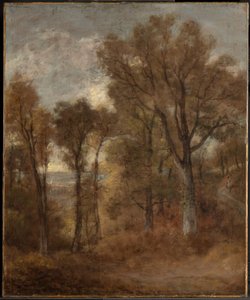 Lesní krajina s výhledem na údolí Dedham od John Constable