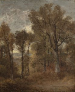Lesní scéna s výhledem na Dedham Vale, kolem 1802-03 od John Constable