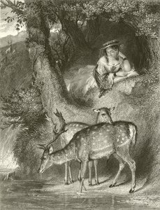 Horská samota od John Corbould