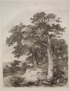 V Colney. od John Crome