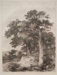 V Colney od John Crome