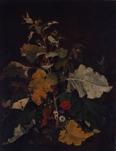 Studie lopuchu od John Crome
