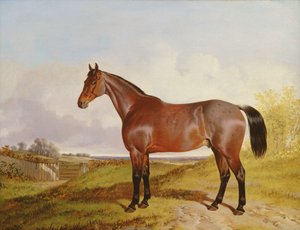 Studie Bay Hunter v krajině, 1854