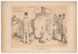 Spotpresent přes aanstelling van Henry Hardinge jako guvernér van Indie Lekce jízdy na slonech! Studováno z přírody v zoologické zahradě (název na objektu) HB Sketches (název série na objektu) od John Doyle
